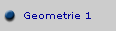 Geometrie 1
